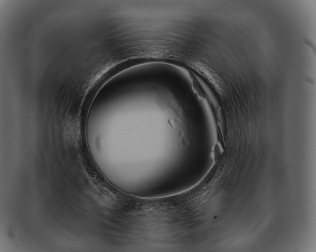 X0000093100532200709261232