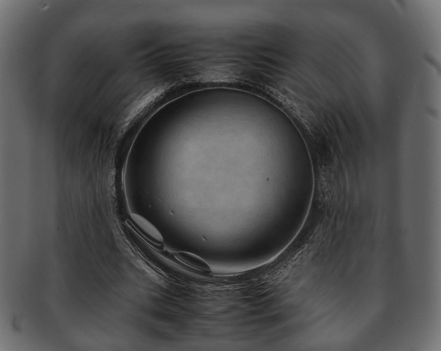 X0000093100535200709261232