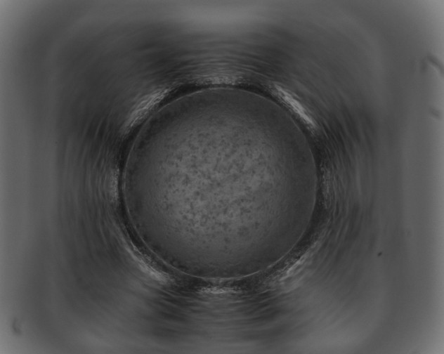 X0000093100537200709261232
