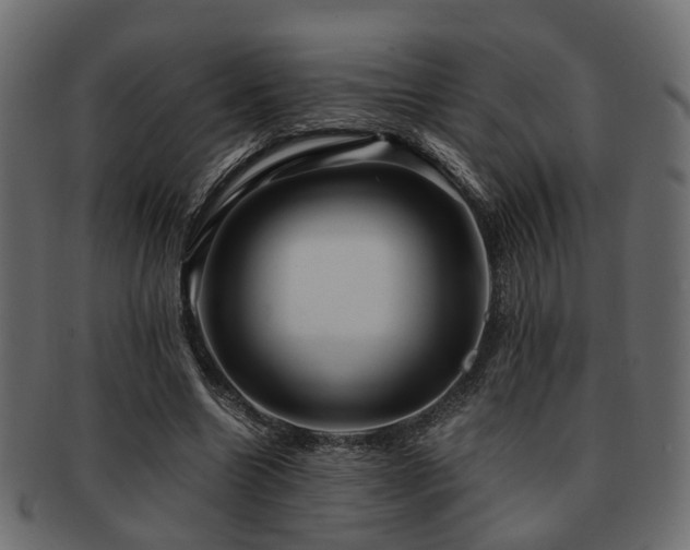 X0000093100538200709261232
