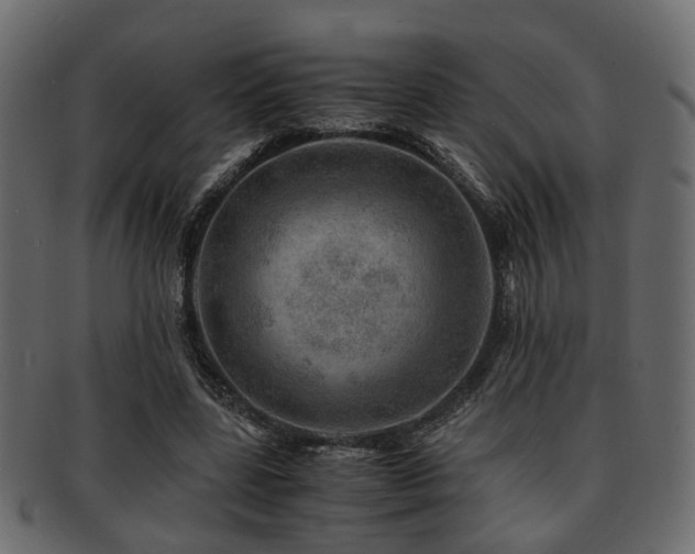 X0000093100539200709261232