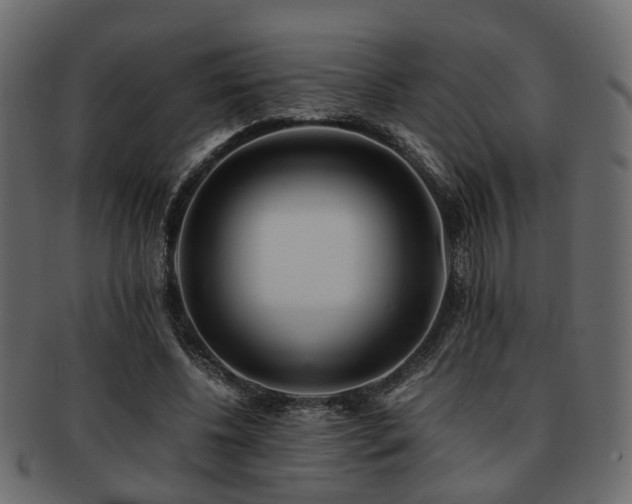 X0000093100540200709261232