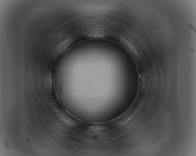 X0000093100541200709261232