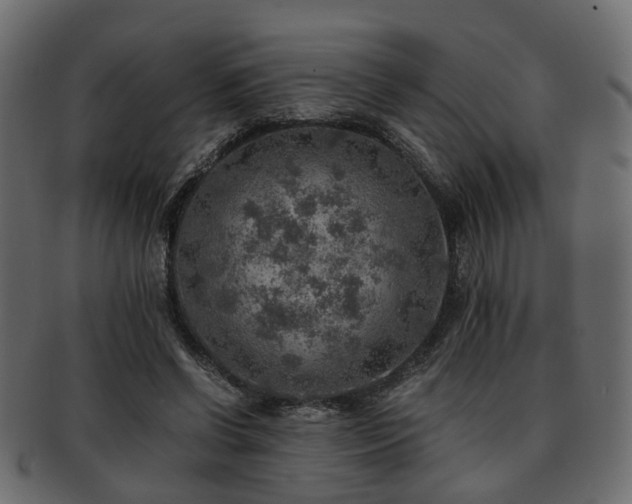 X0000093100542200709261232
