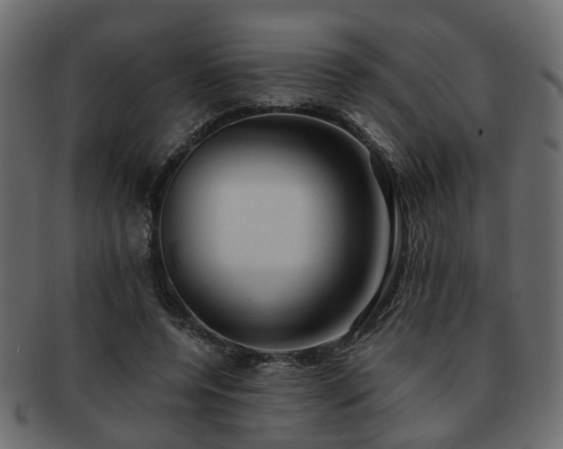 X0000093100544200709261232