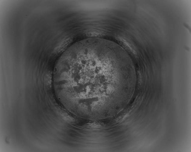 X0000093100545200709261232
