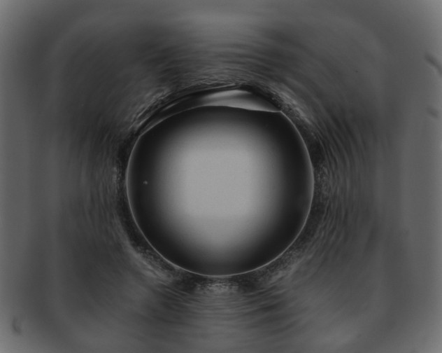 X0000093100546200709261232