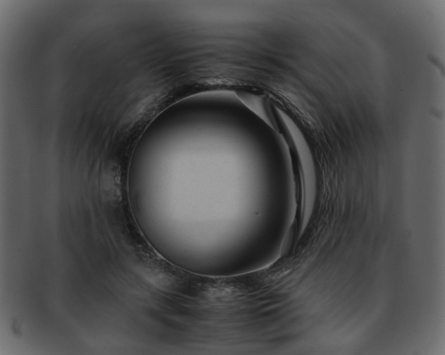 X0000093100547200709261232