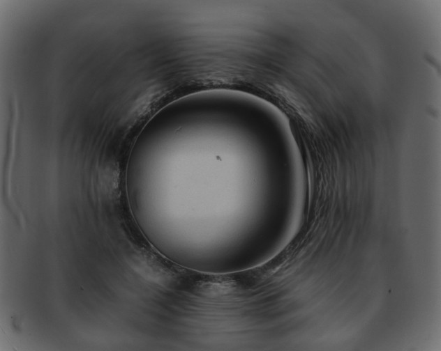 X0000093100548200709261232