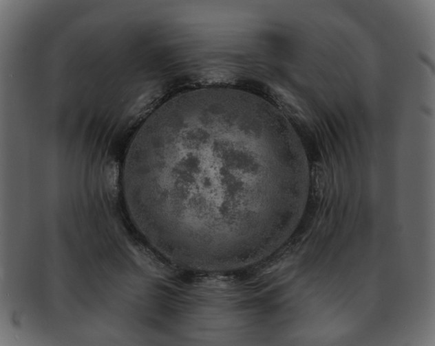 X0000093100550200709261232