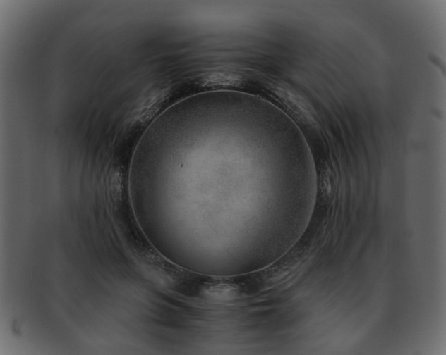 X0000093100551200709261232