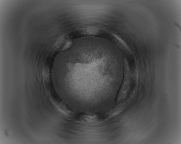 X0000093100552200709261232