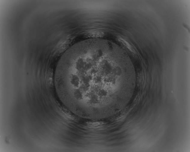 X0000093100553200709261232