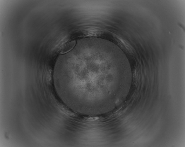 X0000093100554200709261232
