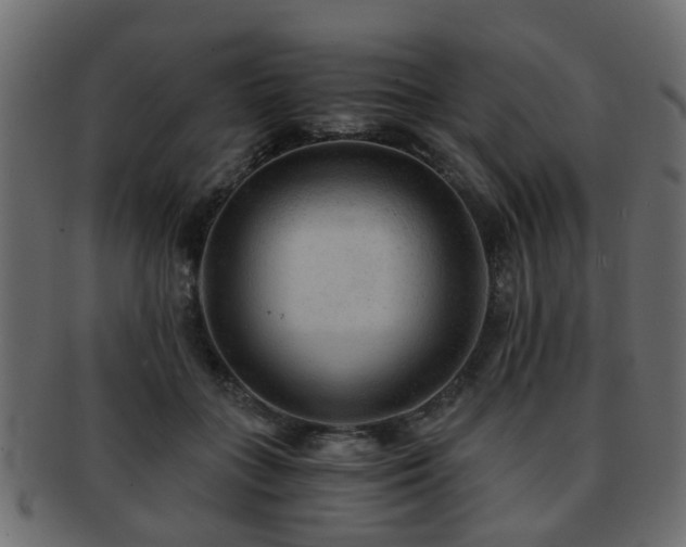 X0000093100555200709261232