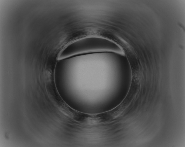 X0000093100556200709261232