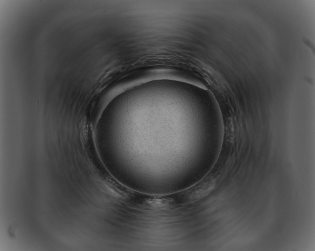 X0000093100558200709261232