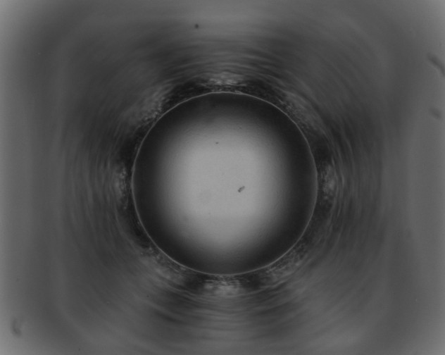 X0000093100559200709261232