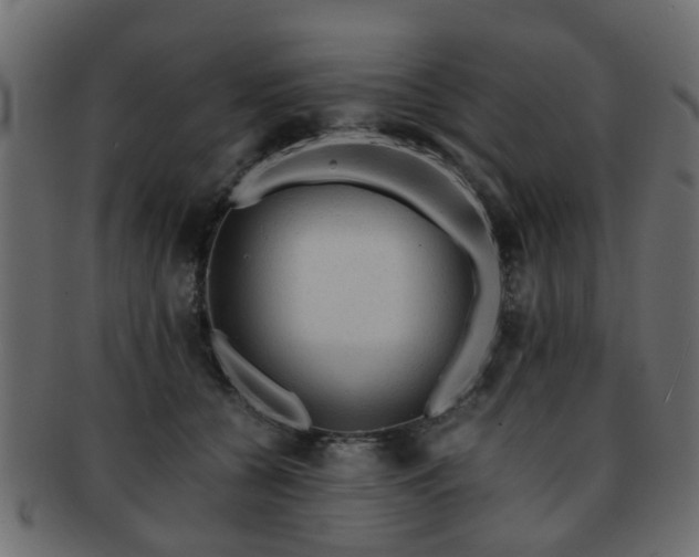 X0000093100560200709261232