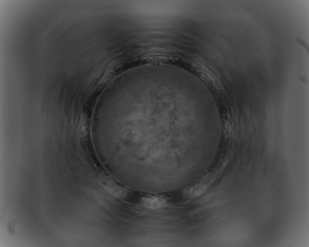 X0000093100561200709261232
