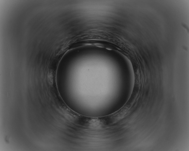 X0000093100562200709261232