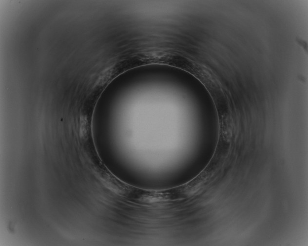 X0000093100563200709261232