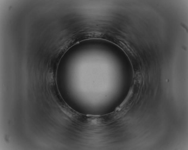X0000093100564200709261232