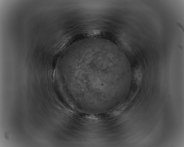X0000093100565200709261233