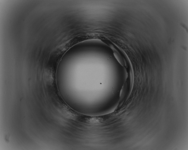 X0000093100566200709261233