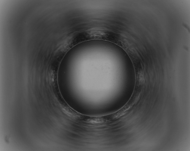 X0000093100567200709261233