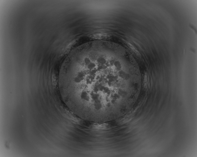 X0000093100569200709261233
