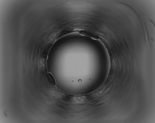 X0000093100571200709261233