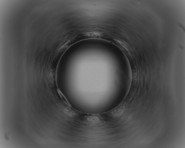 X0000093100572200709261233