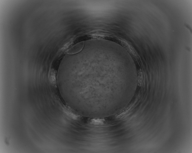 X0000093100573200709261233