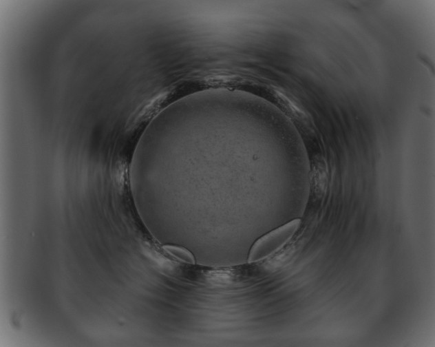 X0000093100574200709261233