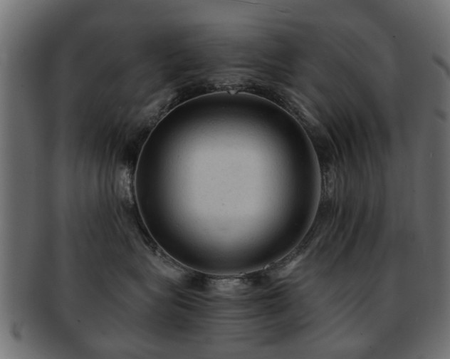 X0000093100575200709261233