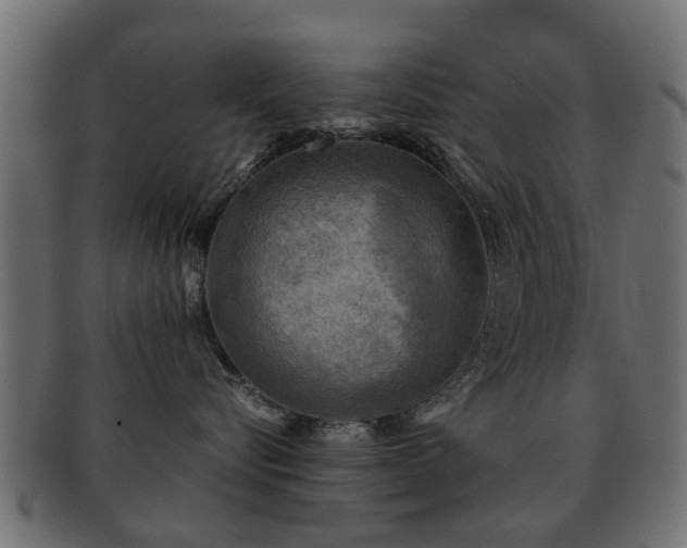 X0000093100576200709261233