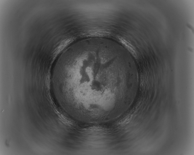 X0000093100578200709261232