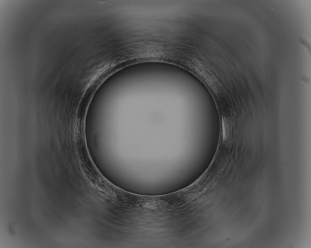 X0000093100579200709261232