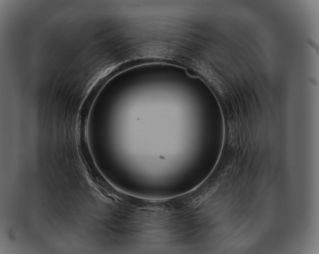 X0000093100580200709261232