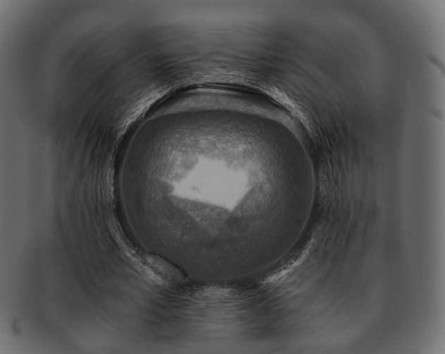 X0000093100581200709261232