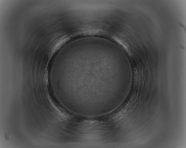 X0000093100582200709261232