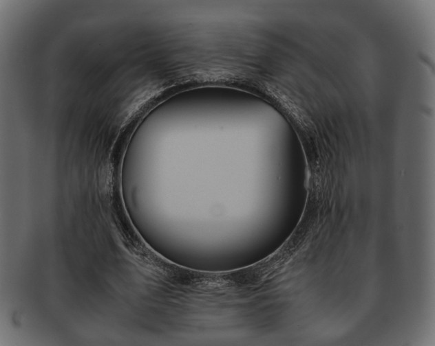 X0000093100583200709261232