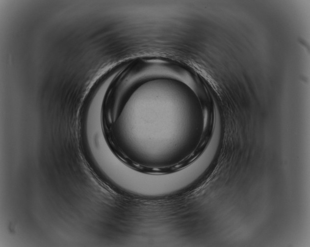 X0000093100584200709261232