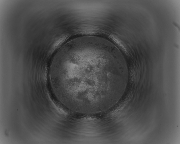 X0000093100586200709261232