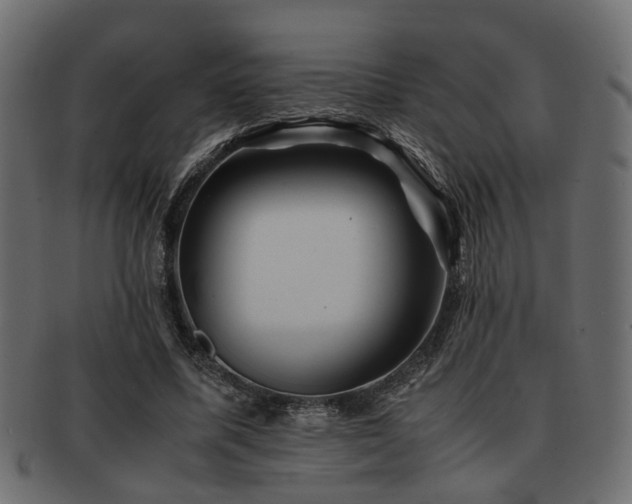 X0000093100587200709261232