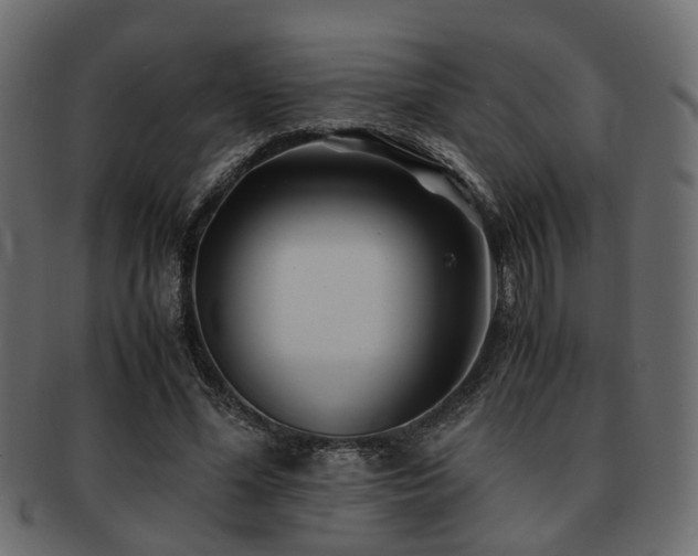 X0000093100588200709261232