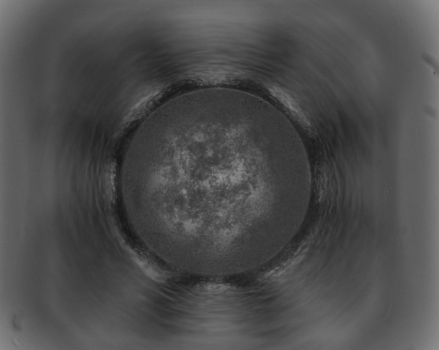 X0000093100590200709261232