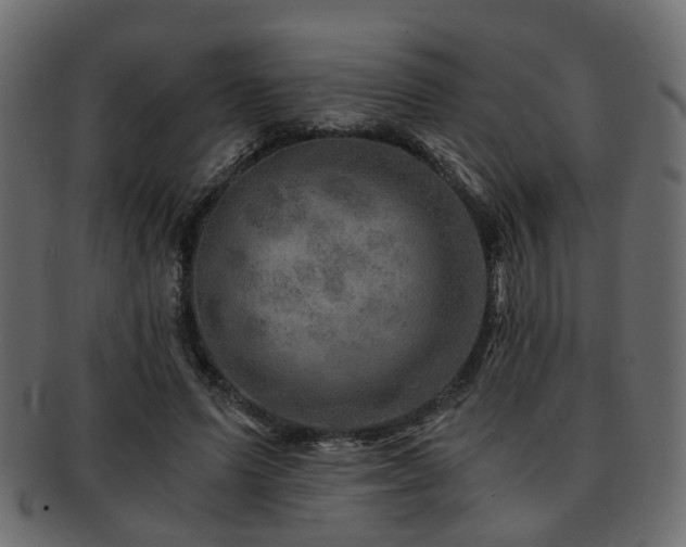 X0000093100591200709261232