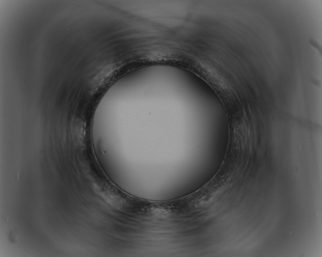 X0000093100592200709261232